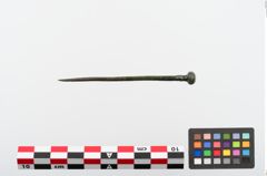 Foto von Kugelkopfnadel (NHMW-PRAE-024367)